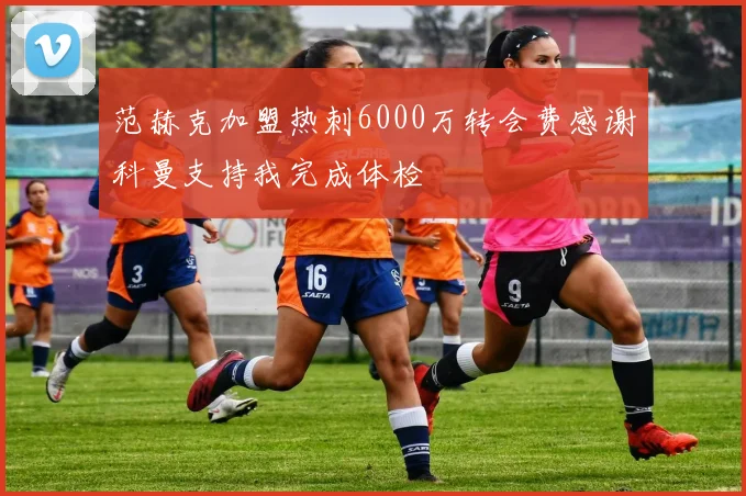 范赫克加盟热刺6000万转会费感谢科曼支持我完成体检