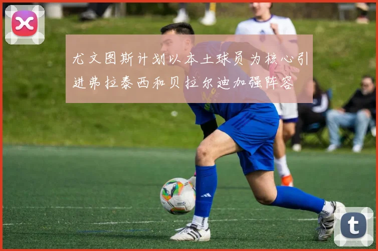 尤文图斯计划以本土球员为核心引进弗拉泰西和贝拉尔迪加强阵容