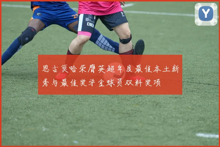 恩古莫哈荣膺英超年度最佳本土新秀与最佳奖学金球员双料奖项